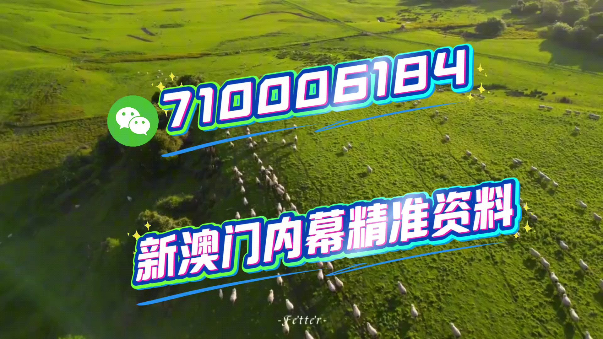 關于澳門今晚特馬生肖的預測與探討——以2025年為視角，澳門生肖預測，以2025年為視角探討今晚特馬生肖預測