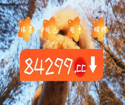 澳門天天開彩大全免費(fèi)——彩票愛好者的福音，澳門天天開彩大全免費(fèi)，彩票愛好者的福音資訊