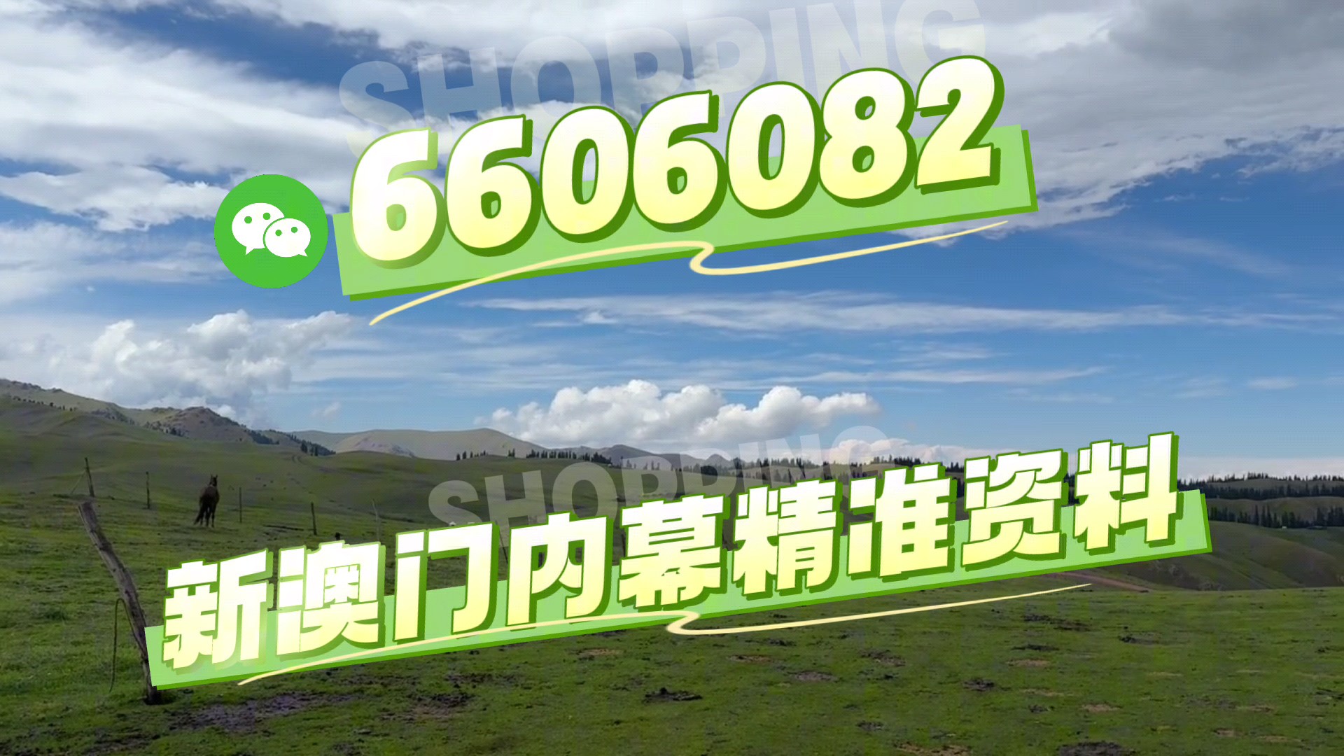 澳門特馬第138期開獎預(yù)測與解析（2025年今晚版），澳門特馬第138期開獎預(yù)測與解析（今晚版2025年）
