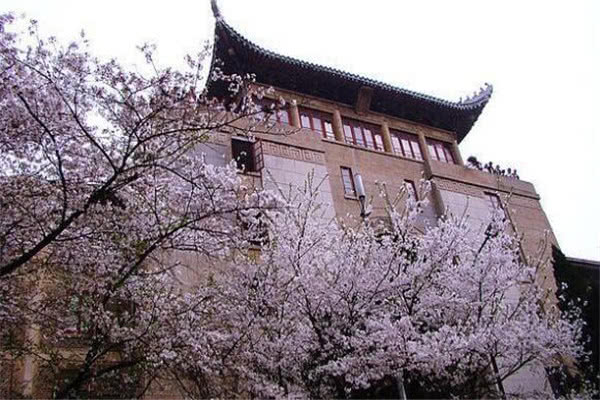 武漢景點(diǎn)排名，探尋歷史文化名城的不朽魅力，武漢景點(diǎn)排名揭秘，歷史文化名城的魅力之旅