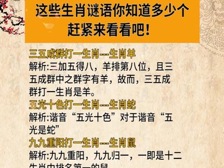 謎語(yǔ)王中王打一生肖——揭秘背后的神秘故事與生肖之謎，揭秘生肖之謎，謎語(yǔ)王中王背后的神秘故事與生肖解密