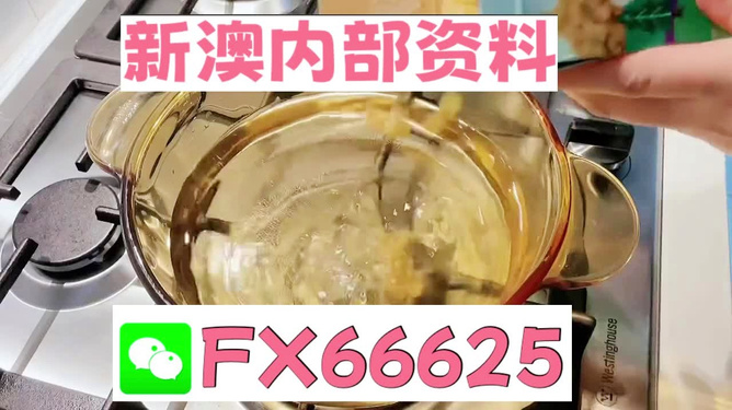新澳一碼料，深度解析與SEO優(yōu)化策略，新澳一碼料深度解析與SEO優(yōu)化策略指南