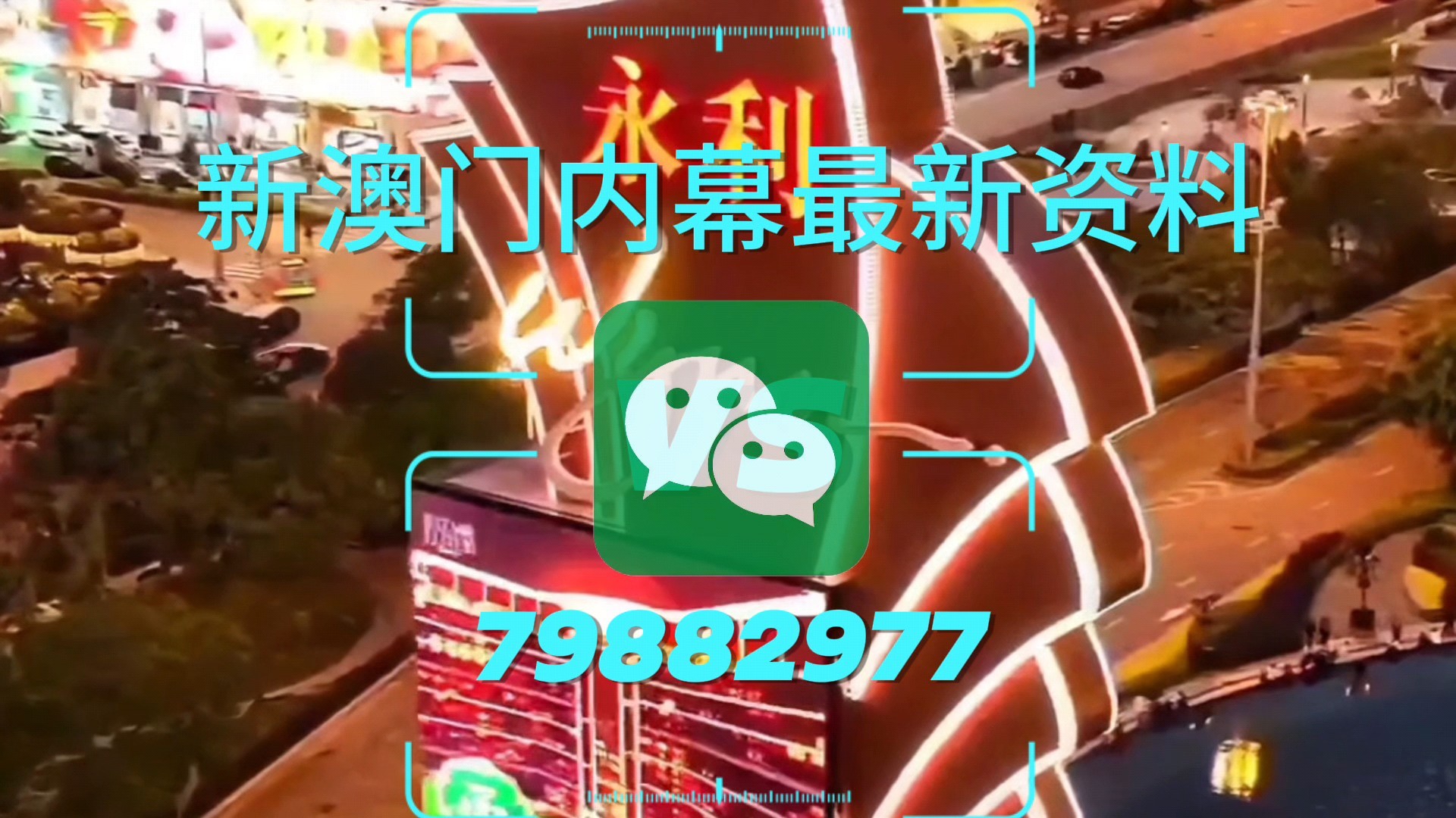 新澳門一肖一特一中，探索與解析，新澳門一肖一特一中，深度探索與解析